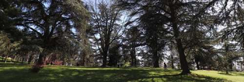 Bron Rhône maison foto 7261511