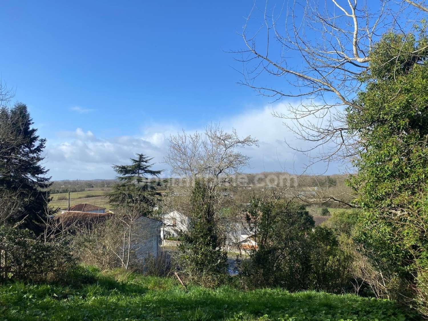 kaufen Haus Camblanes-et-Meynac Gironde 3