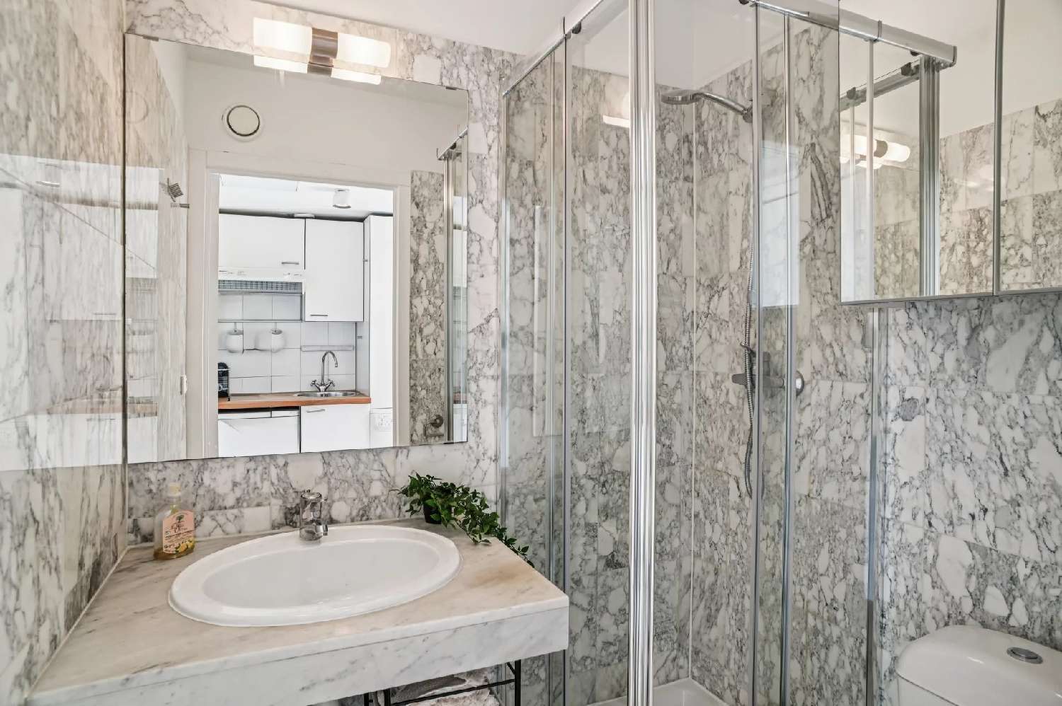  kaufen Haus Cannes Alpes-Maritimes 4