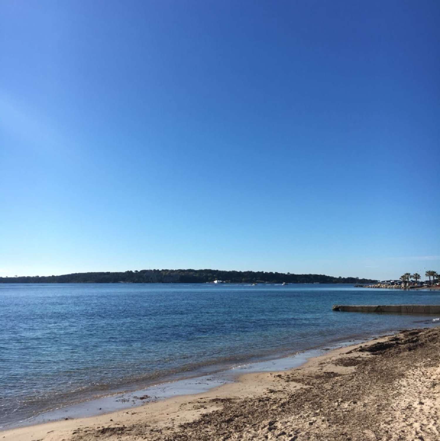  kaufen Haus Cannes Alpes-Maritimes 1