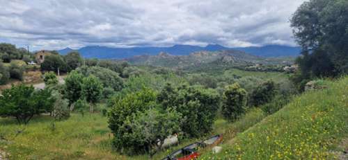 Casta Haute-Corse Haus Bild 7270098