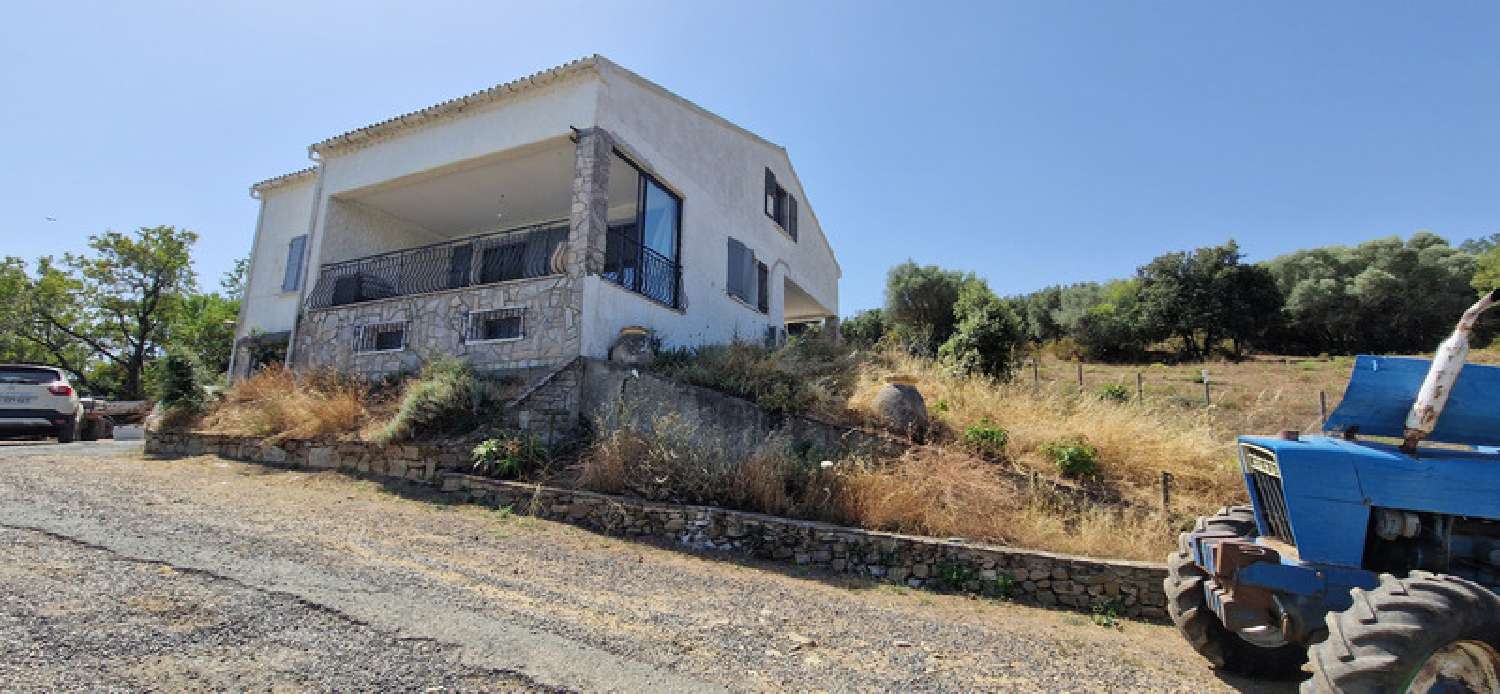 kaufen Haus Casta Haute-Corse 3