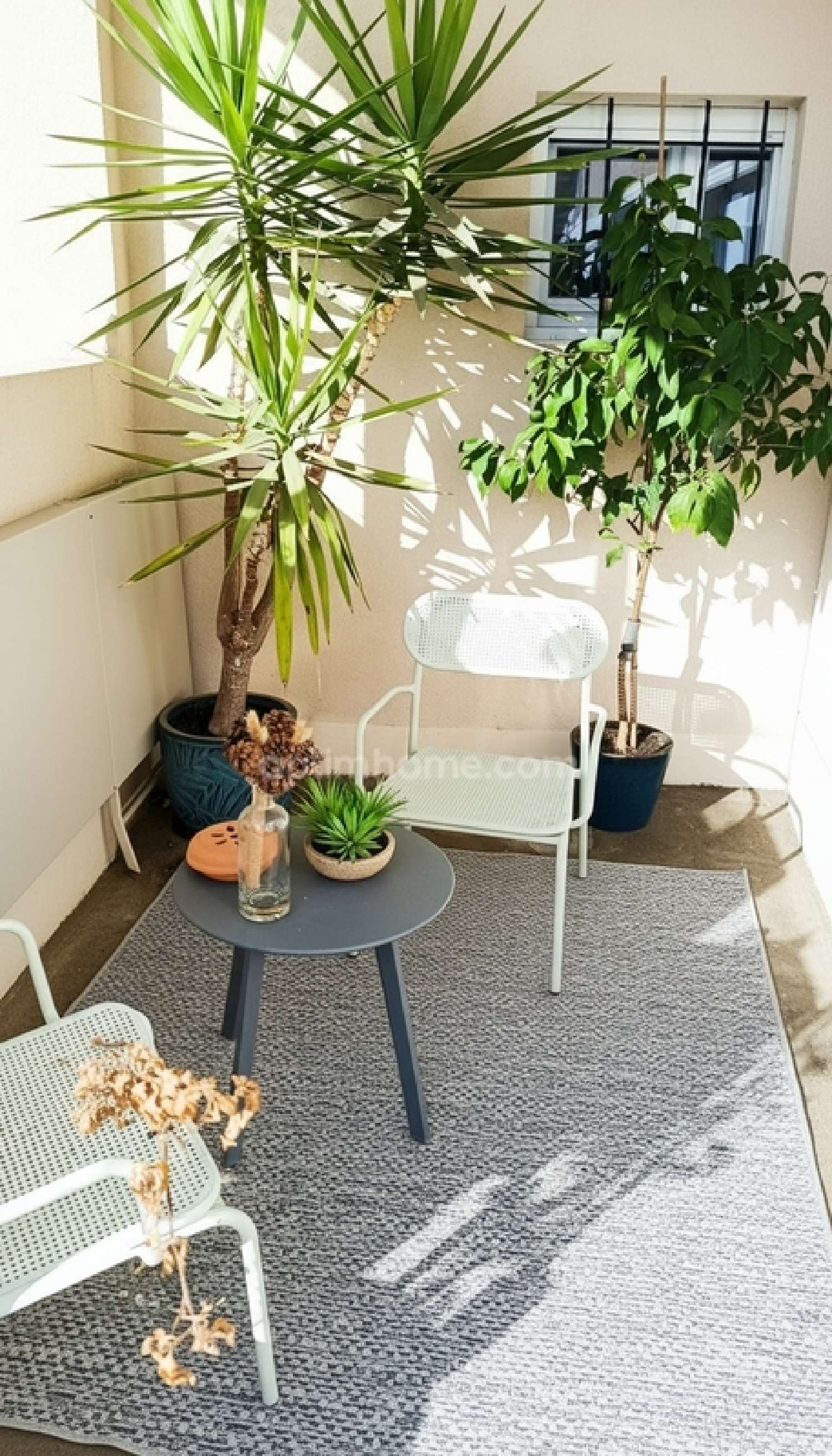 for sale house Castandet Landes 5