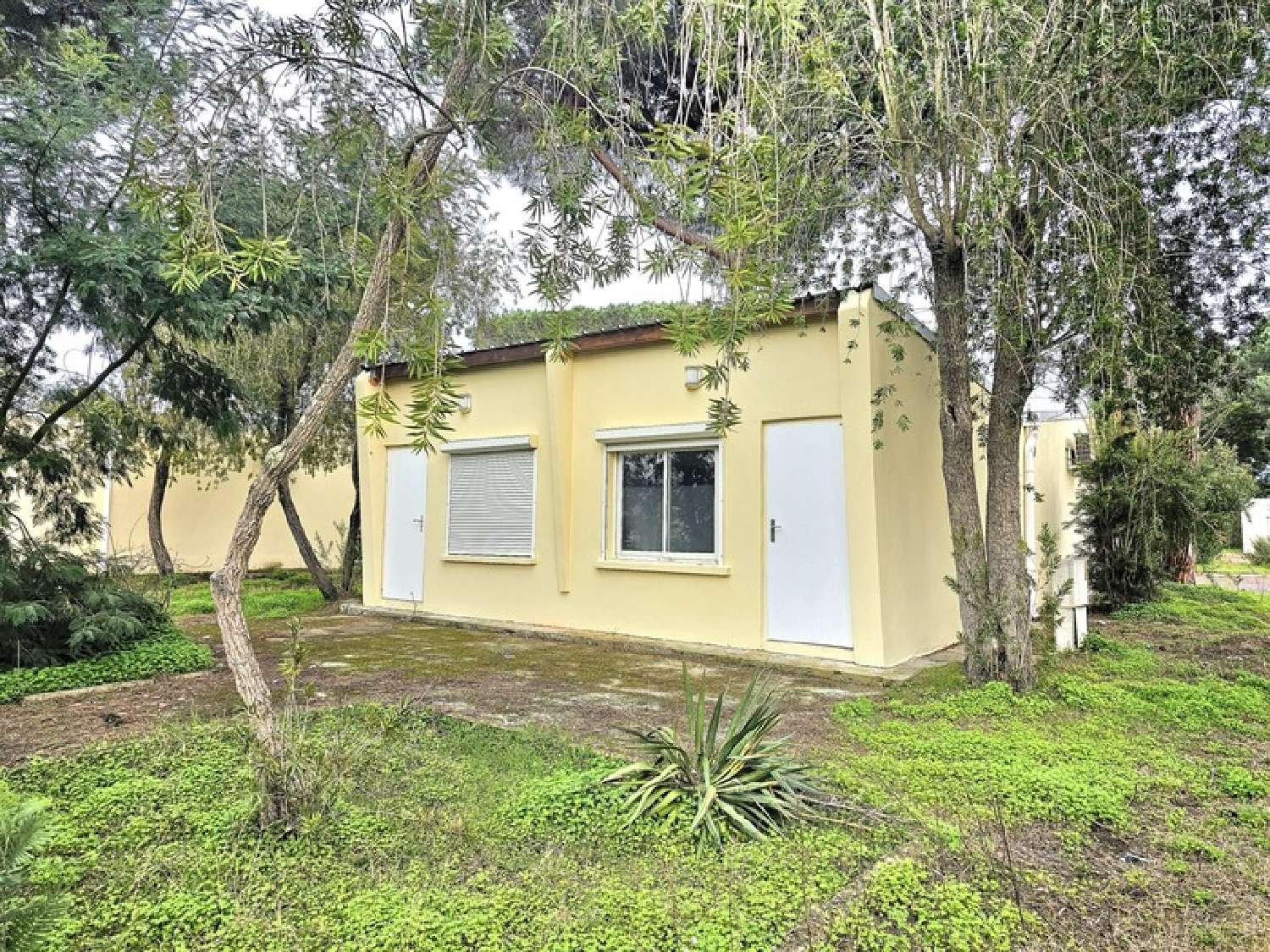  te koop huis Castellare-di-Casinca Haute-Corse 1