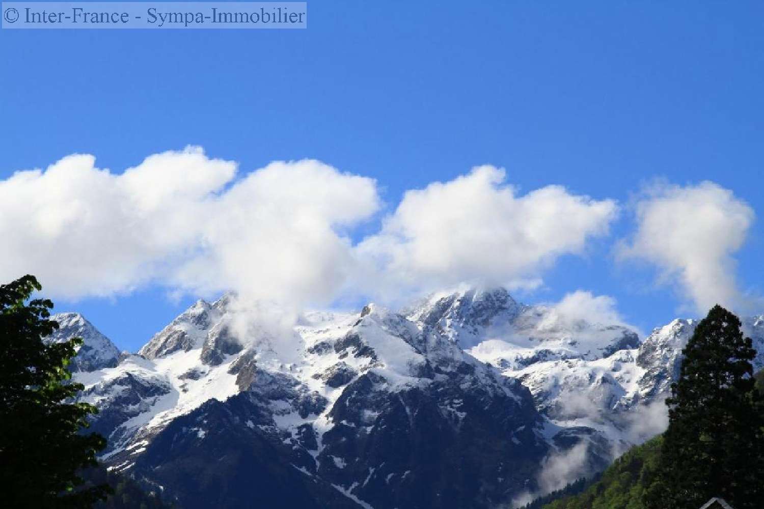  à vendre maison Cathervielle Haute-Garonne 4