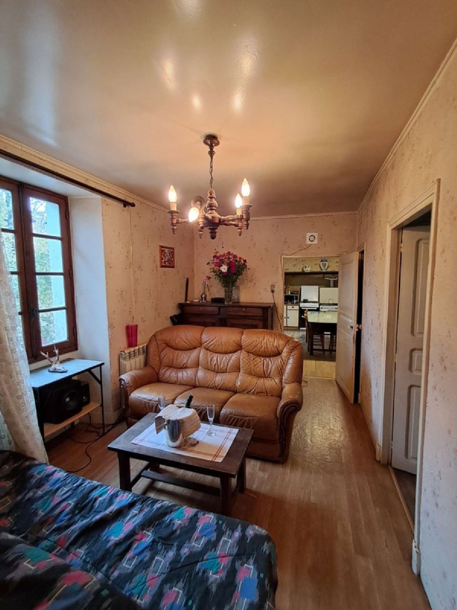  kaufen Haus Catus Lot 5