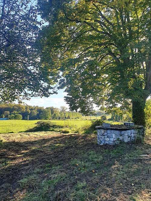 Cercoux Charente-Maritime huis foto 7263676
