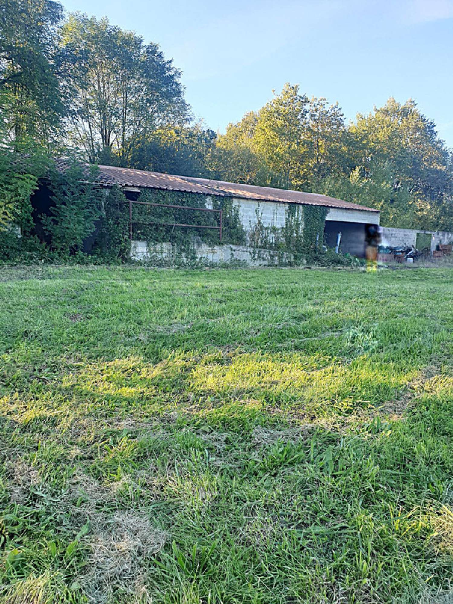 te koop huis Cercoux Charente-Maritime 6