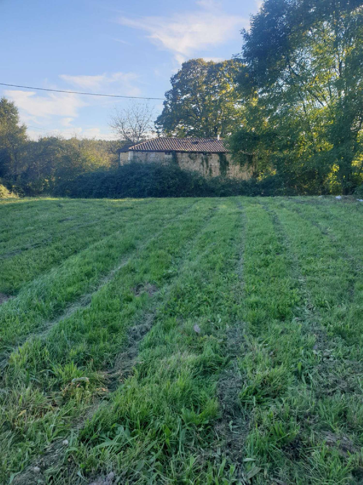 te koop huis Cercoux Charente-Maritime 7