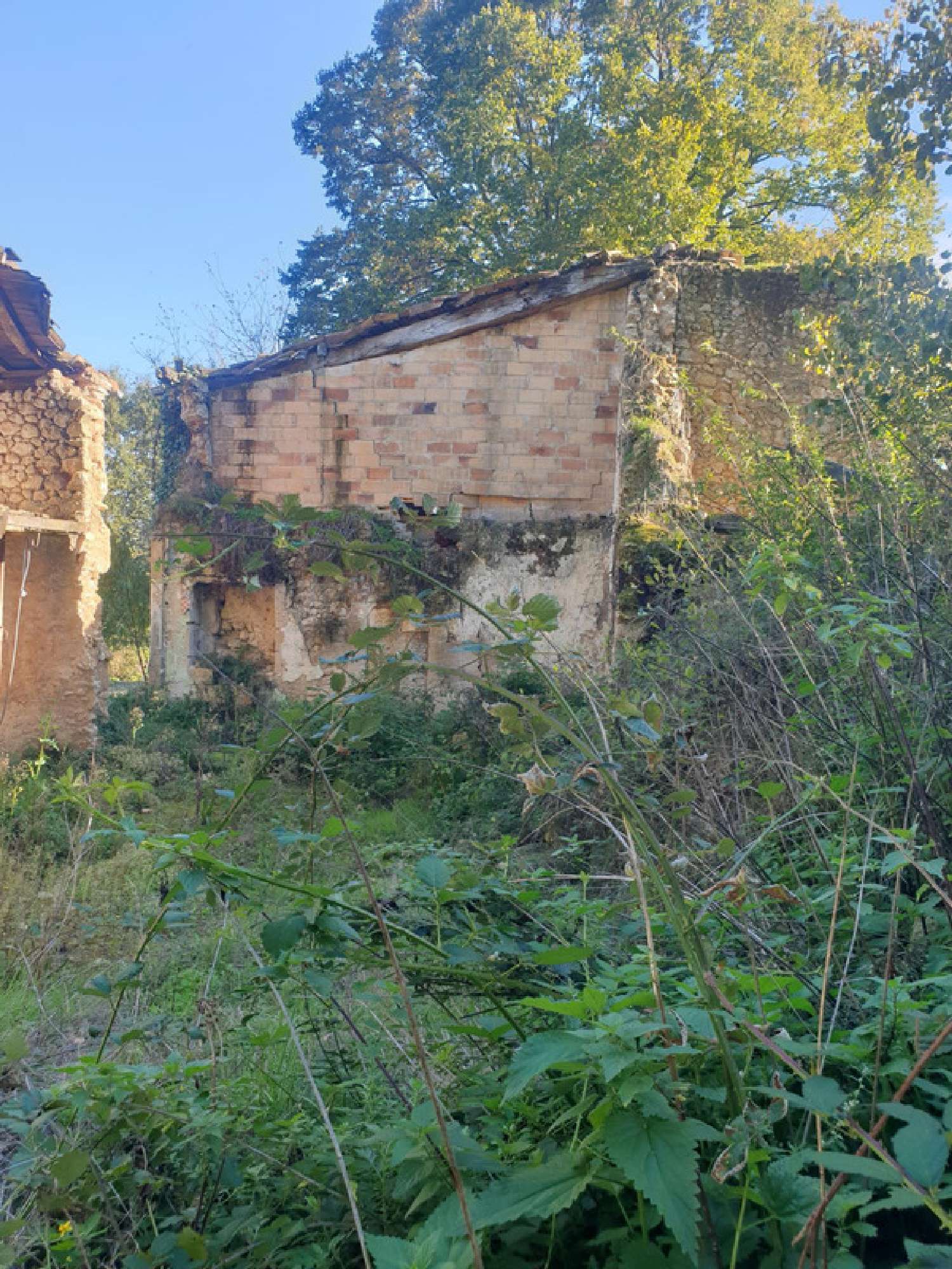 te koop huis Cercoux Charente-Maritime 8