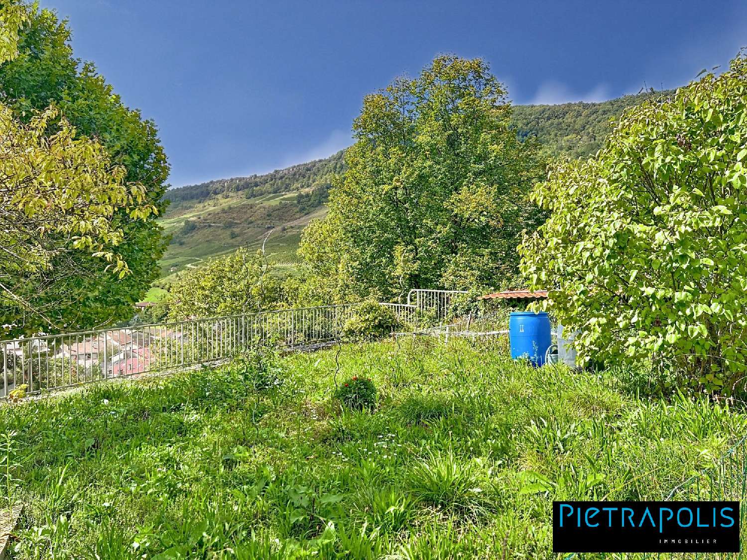  te koop huis Cerdon Ain 3