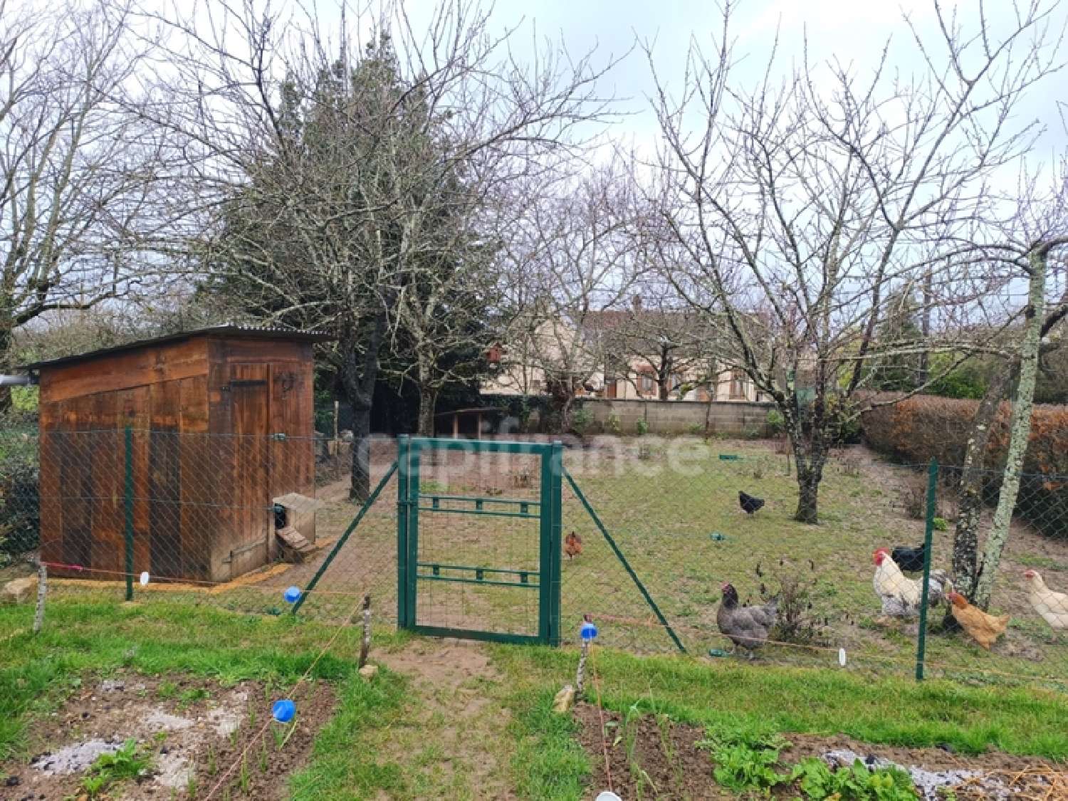 kaufen Haus Cerisiers Yonne 3