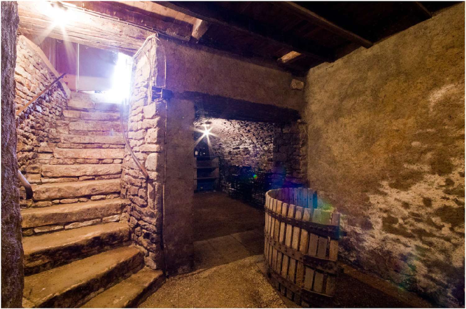  te koop huis Chabournay Vienne 8