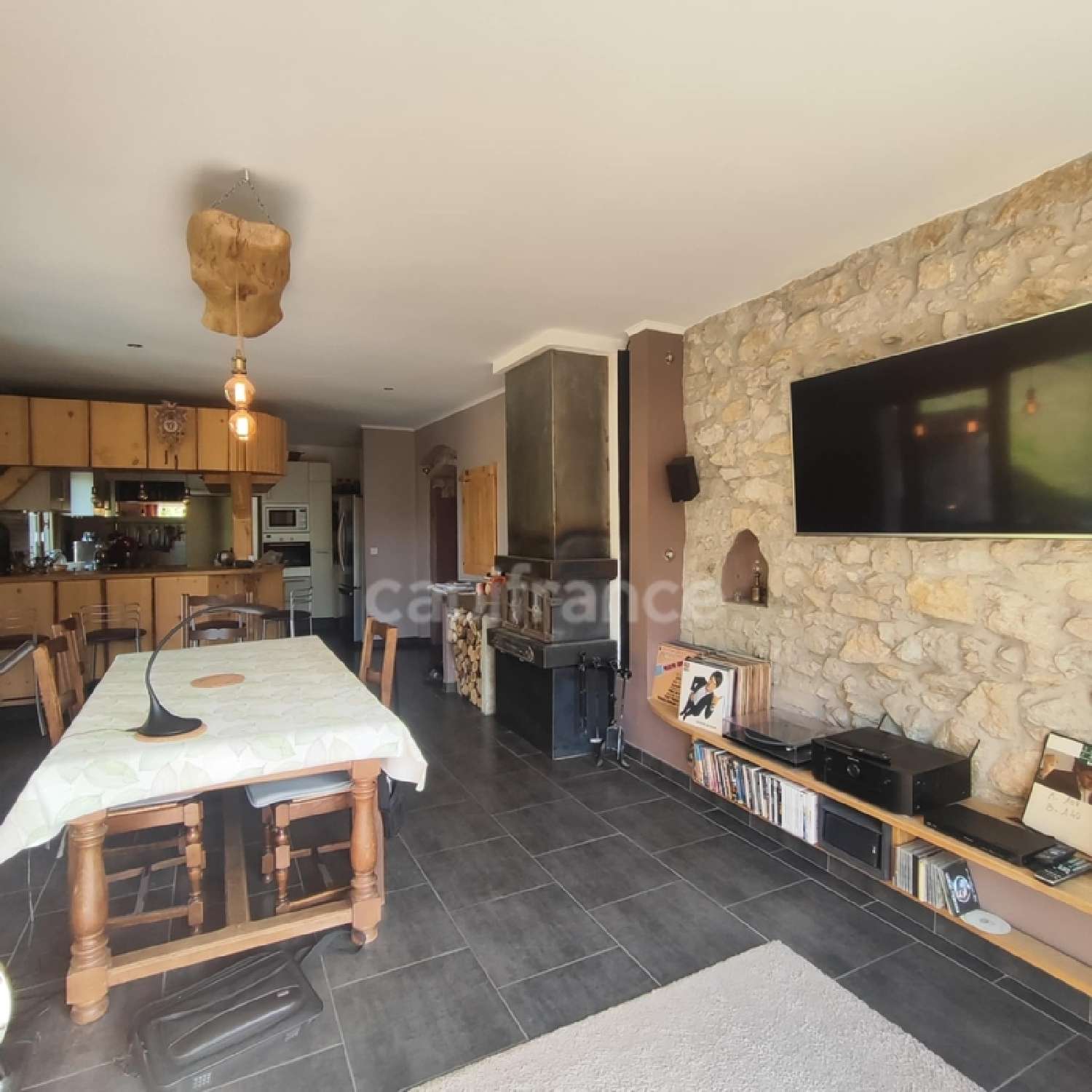  à vendre maison Chanaz Savoie 1