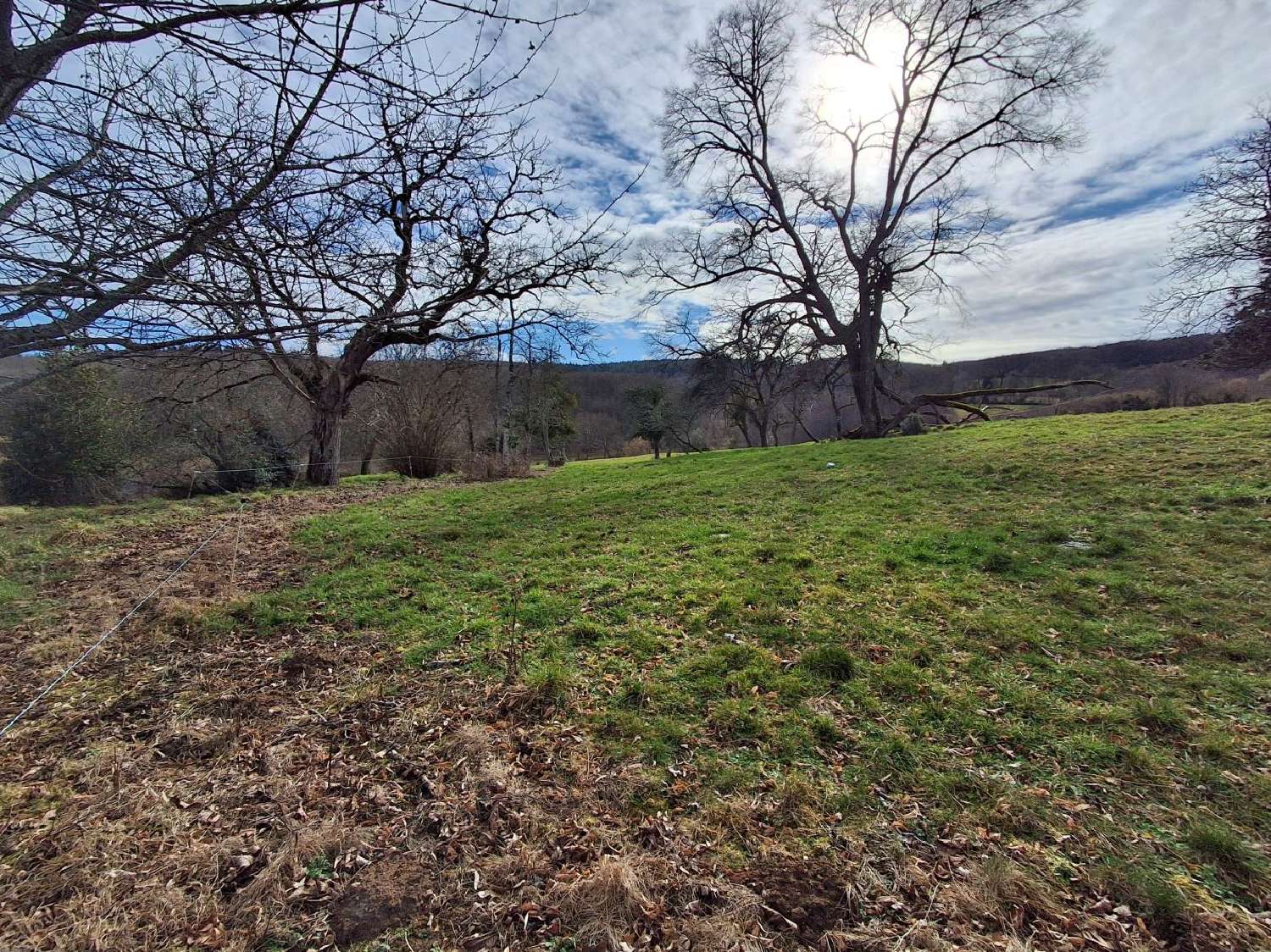  te koop huis Châteauneuf-la-Forêt Haute-Vienne 2