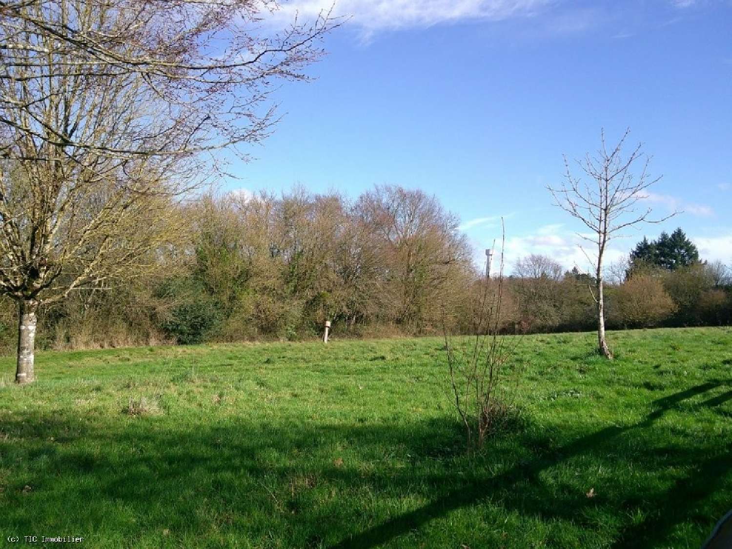  te koop huis Civray Vienne 8