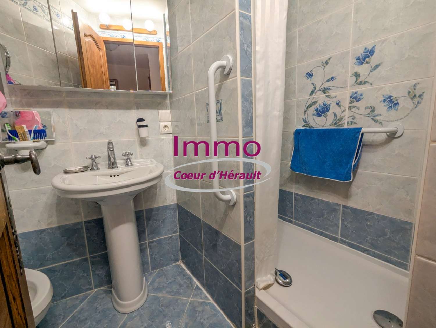  te koop huis Clermont-l'Hérault Hérault 7