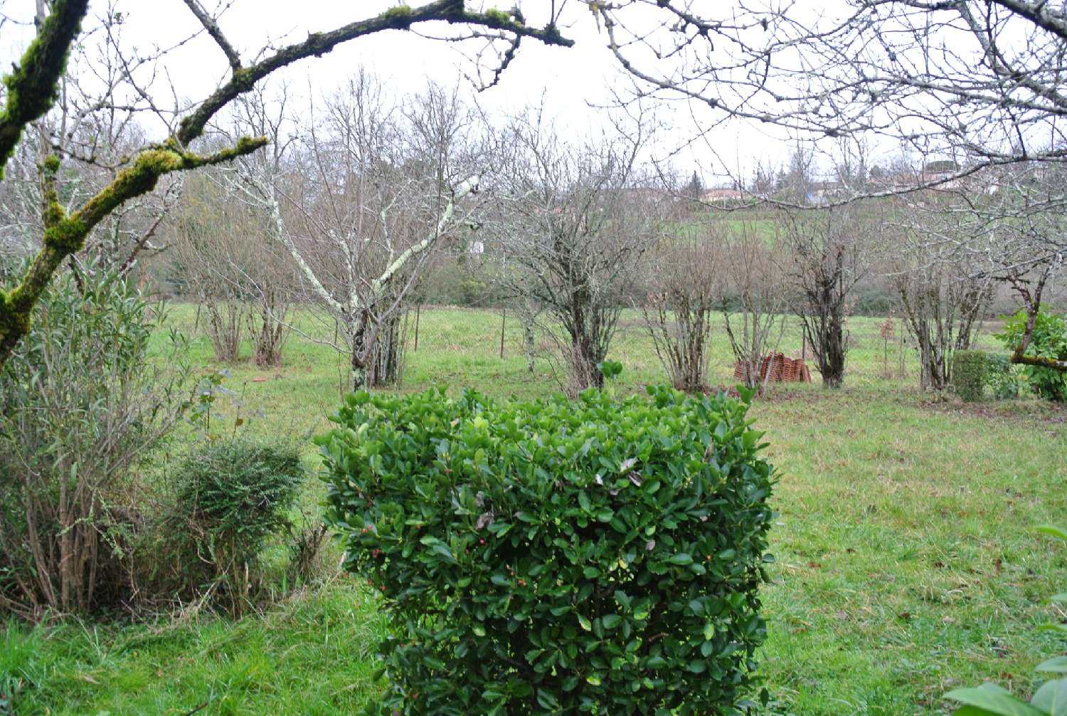 for sale house Cocumont Lot-et-Garonne 2