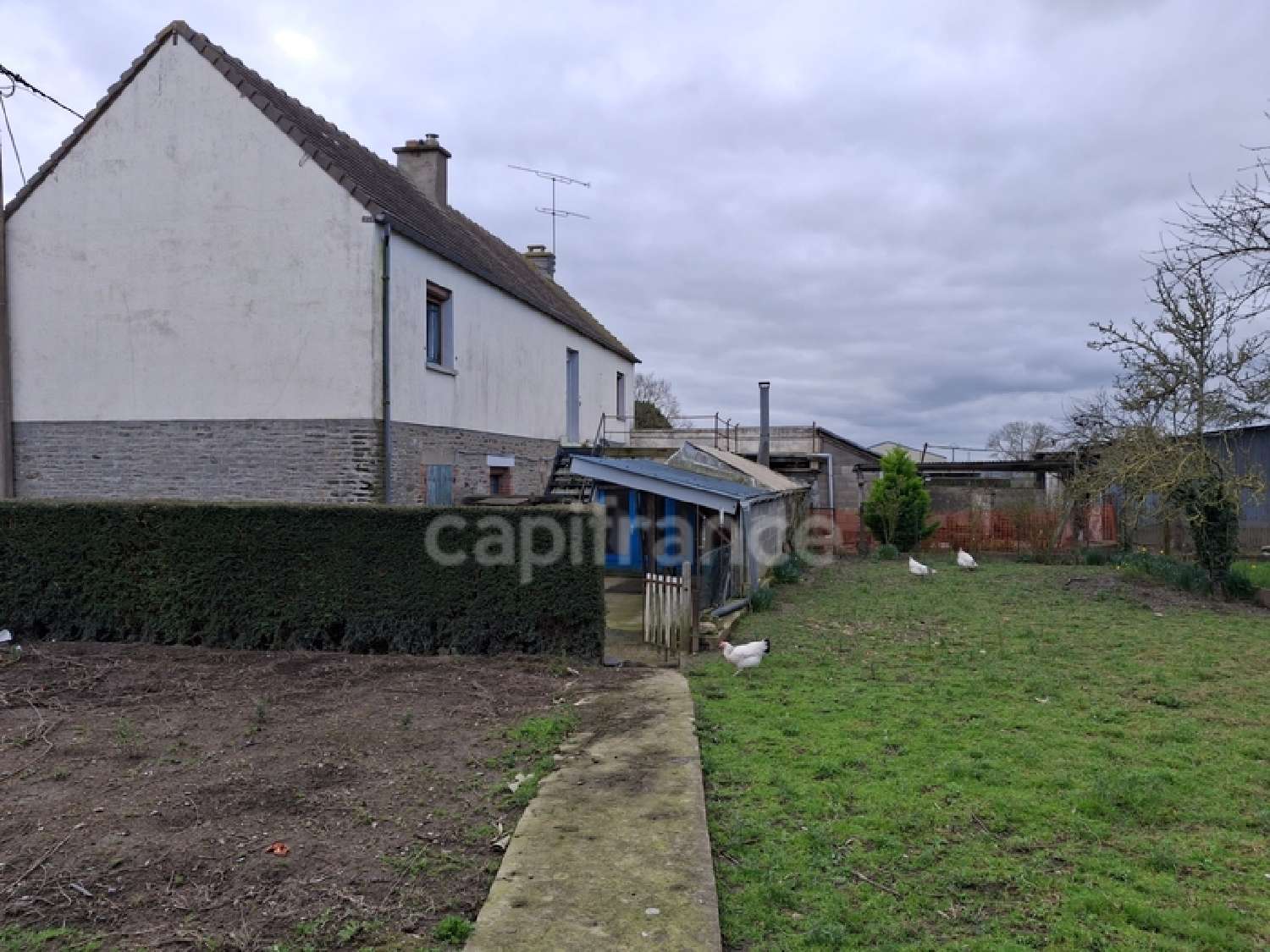 for sale house Cormeray Manche 3