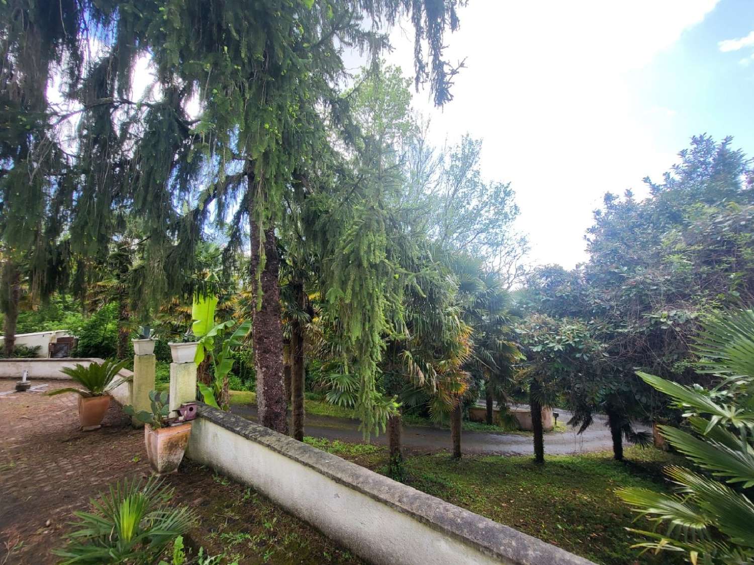  kaufen Haus Coulonges-sur-l'Autize Deux-Sèvres 1