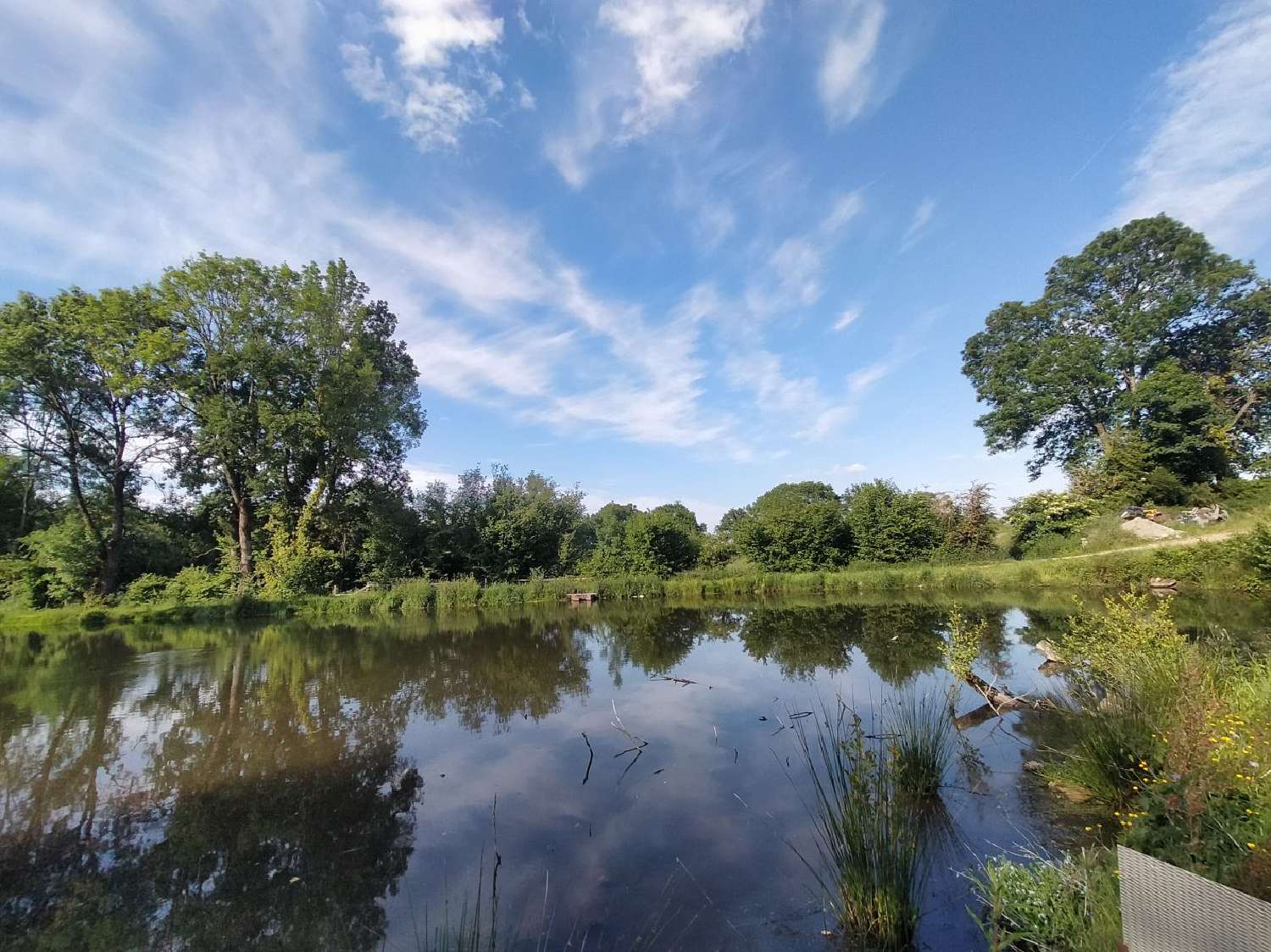  te koop huis Courcité Mayenne 2