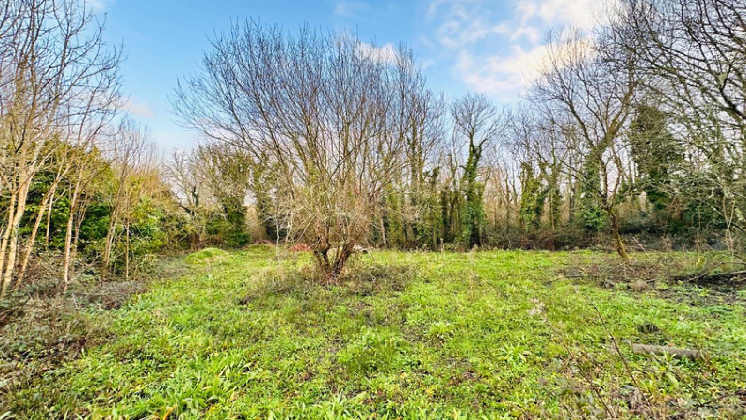 à vendre maison Crozon Finistère 6