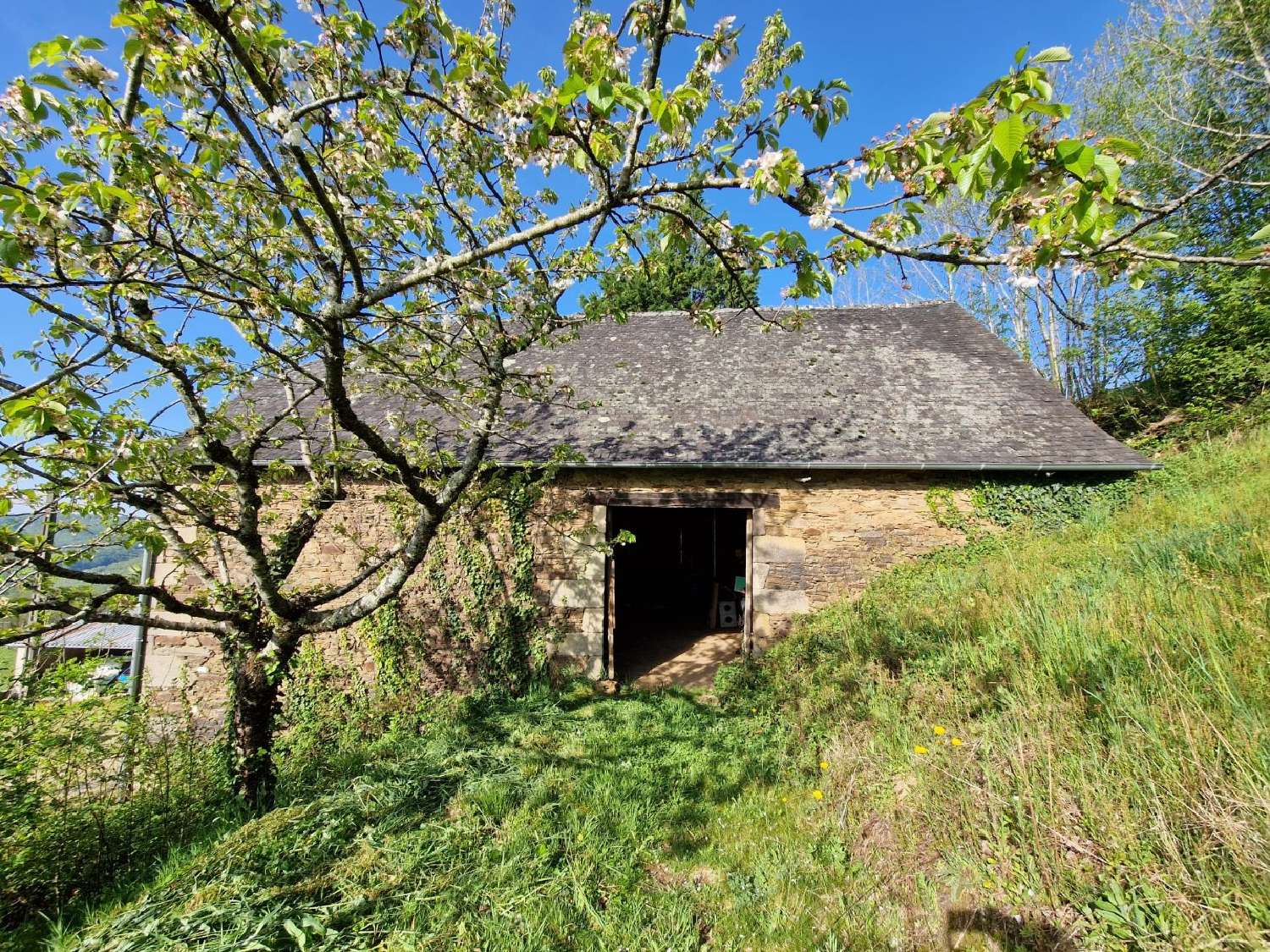  for sale house Dampniat Corrèze 1