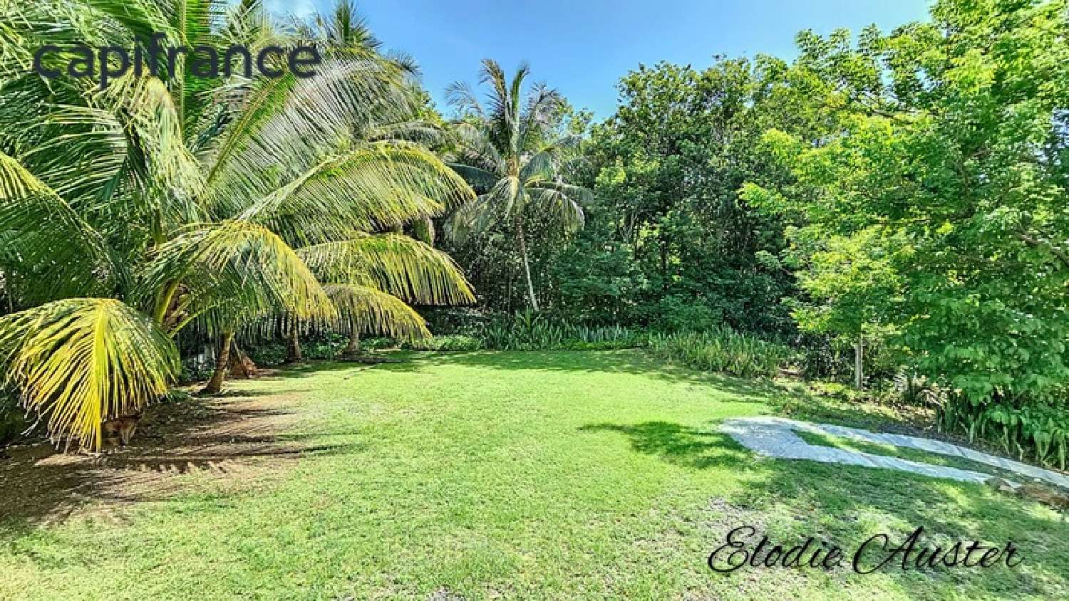 en venta casa Deshaies Guadeloupe 3