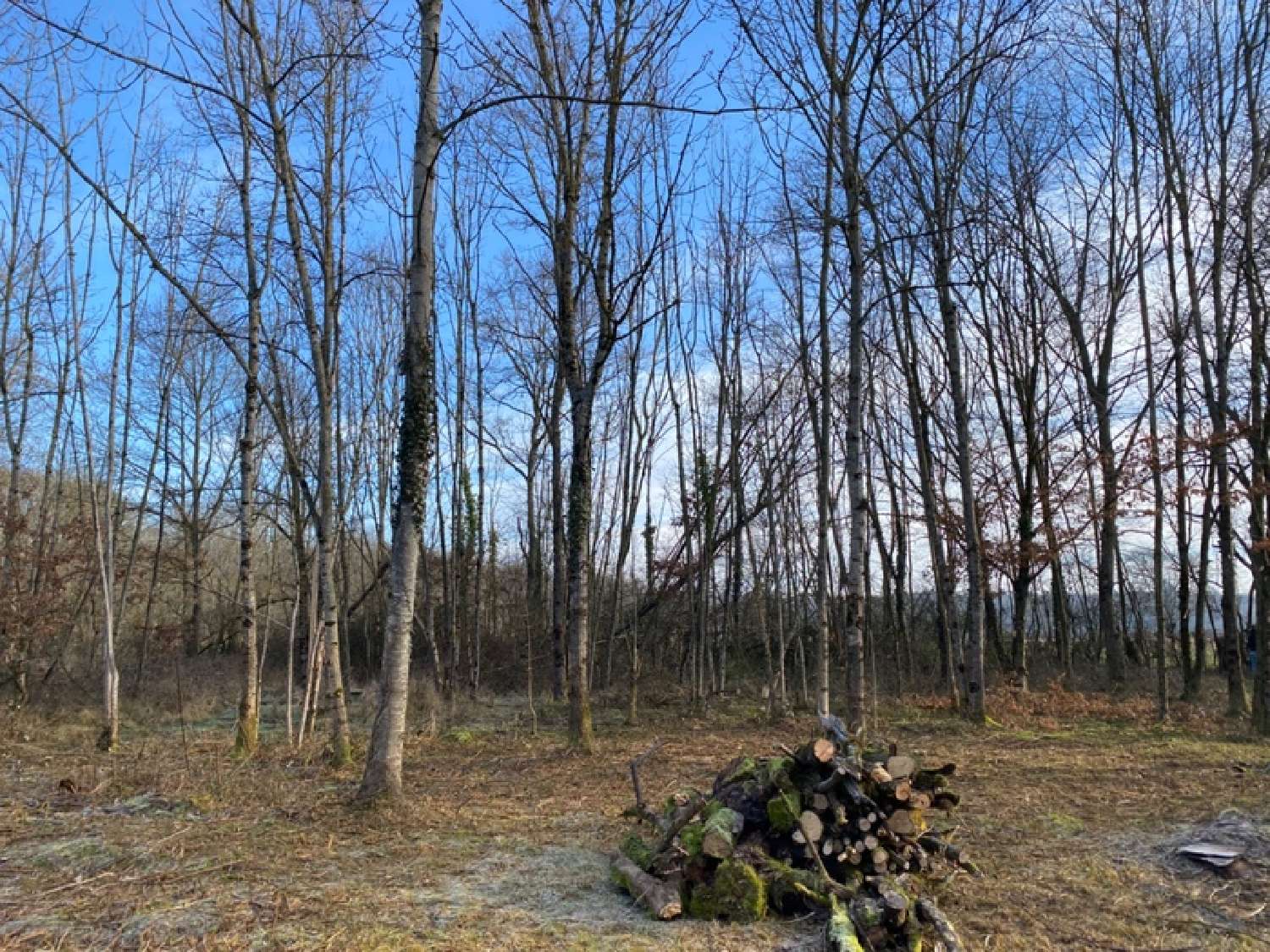  à vendre maison Digoin Saône-et-Loire 4
