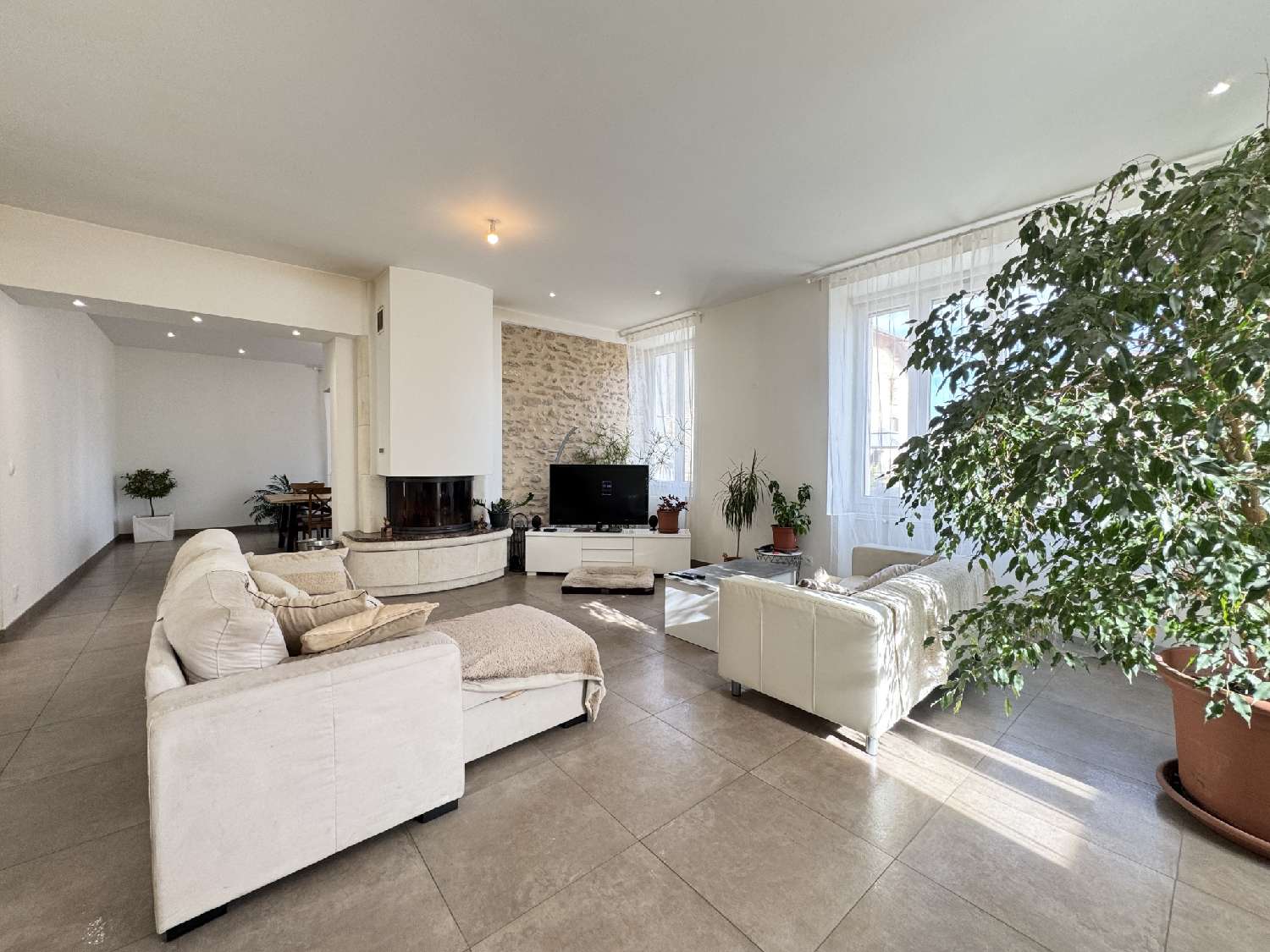  te koop huis Dionay Isère 2