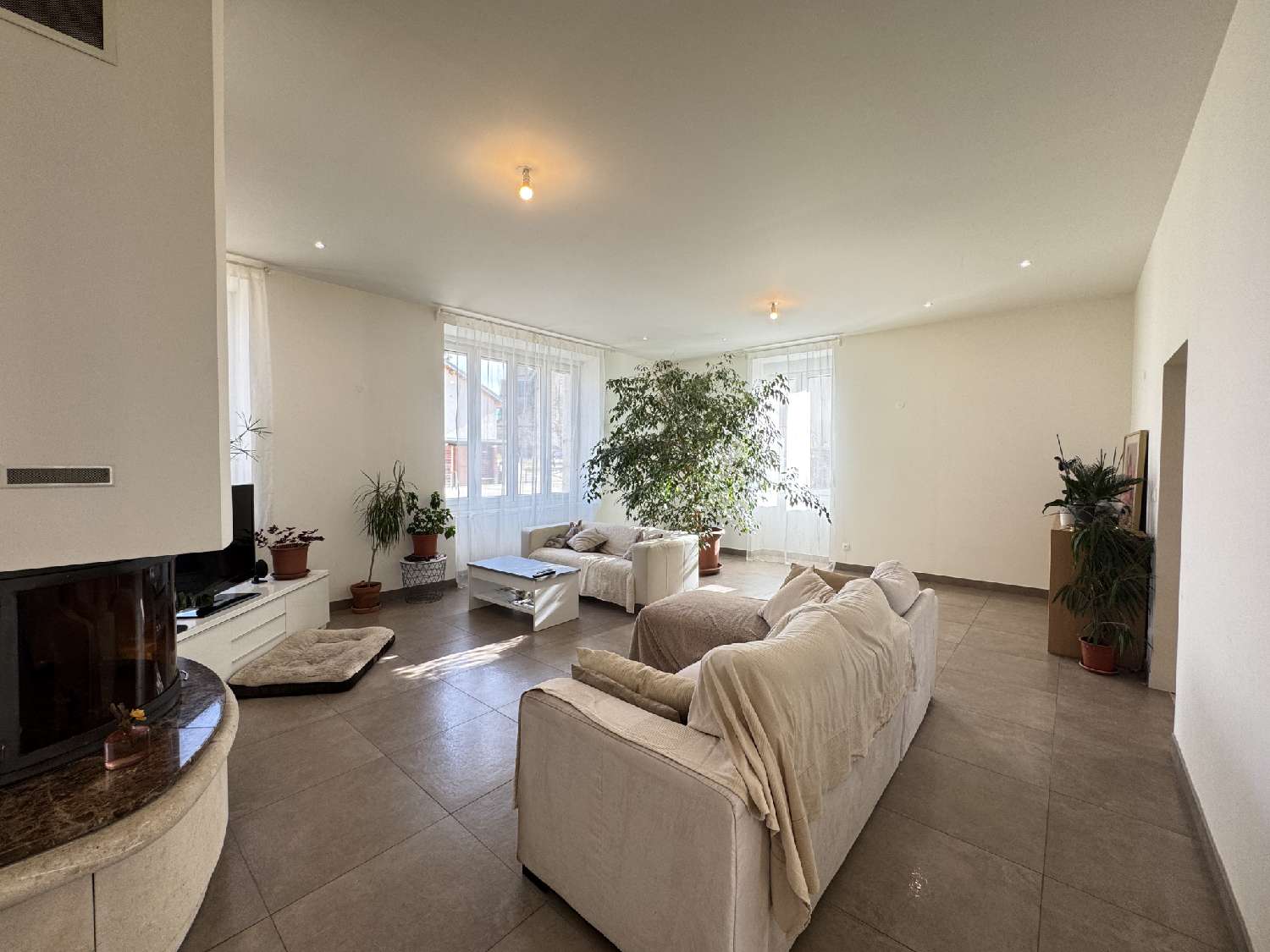  te koop huis Dionay Isère 3