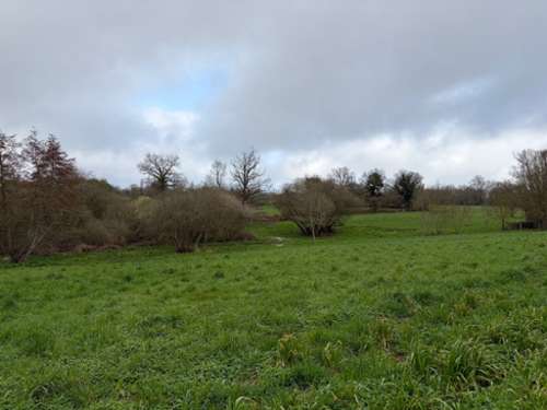  à vendre maison Dissais Vendée 3