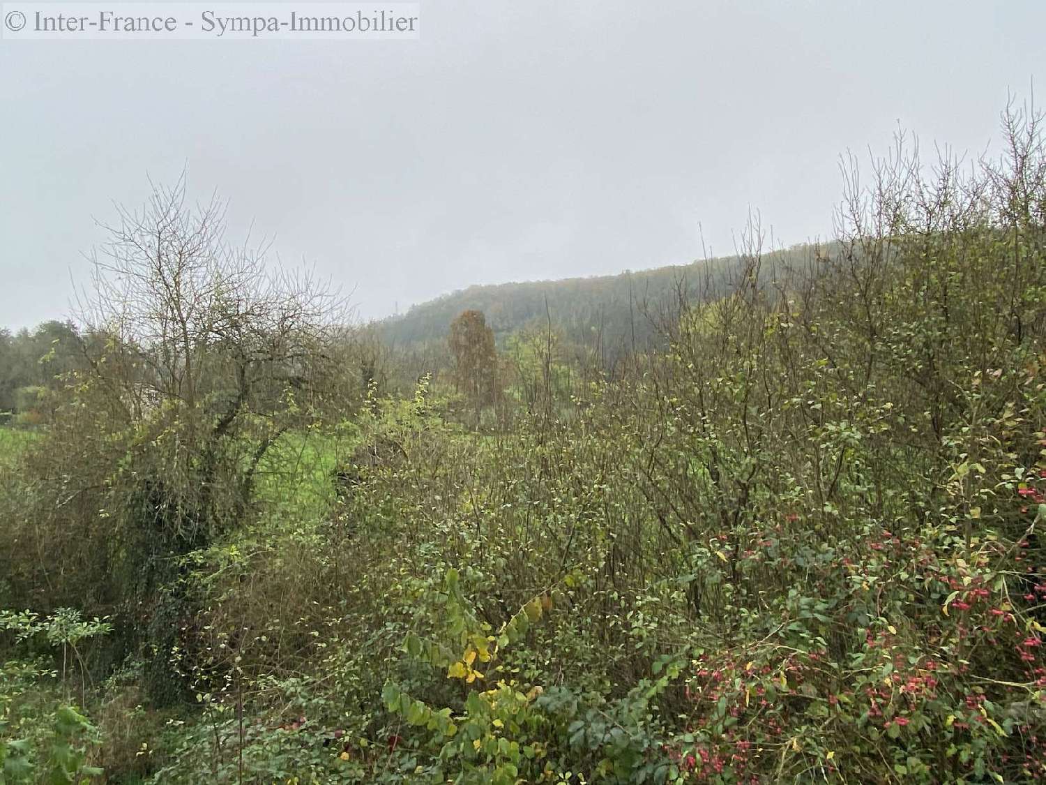  te koop huis Donjeux Haute-Marne 2