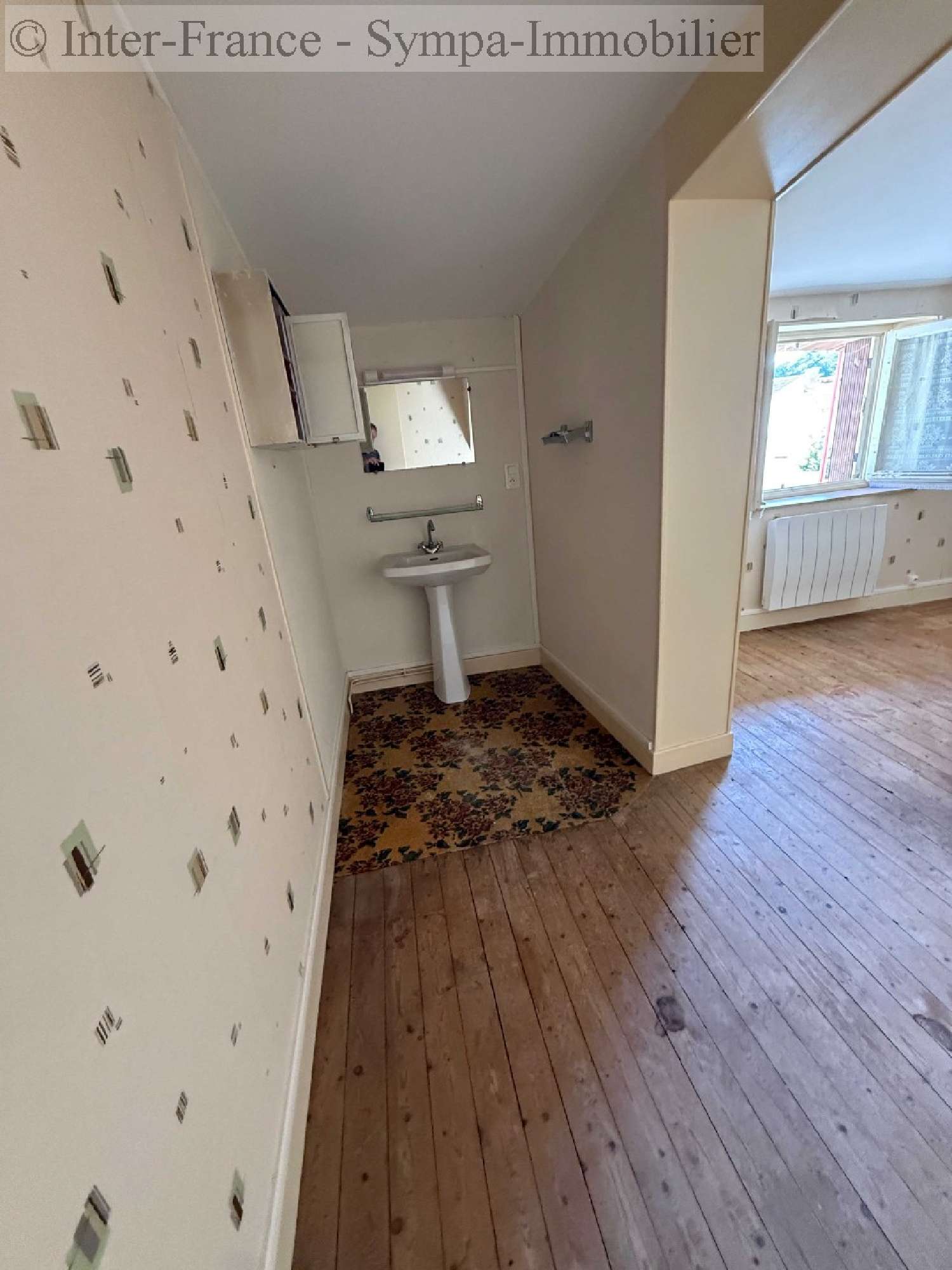  for sale house Doulevant-le-Château Haute-Marne 6