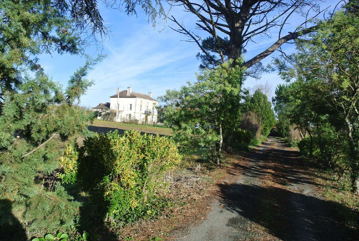 for sale house Duras Lot-et-Garonne 8