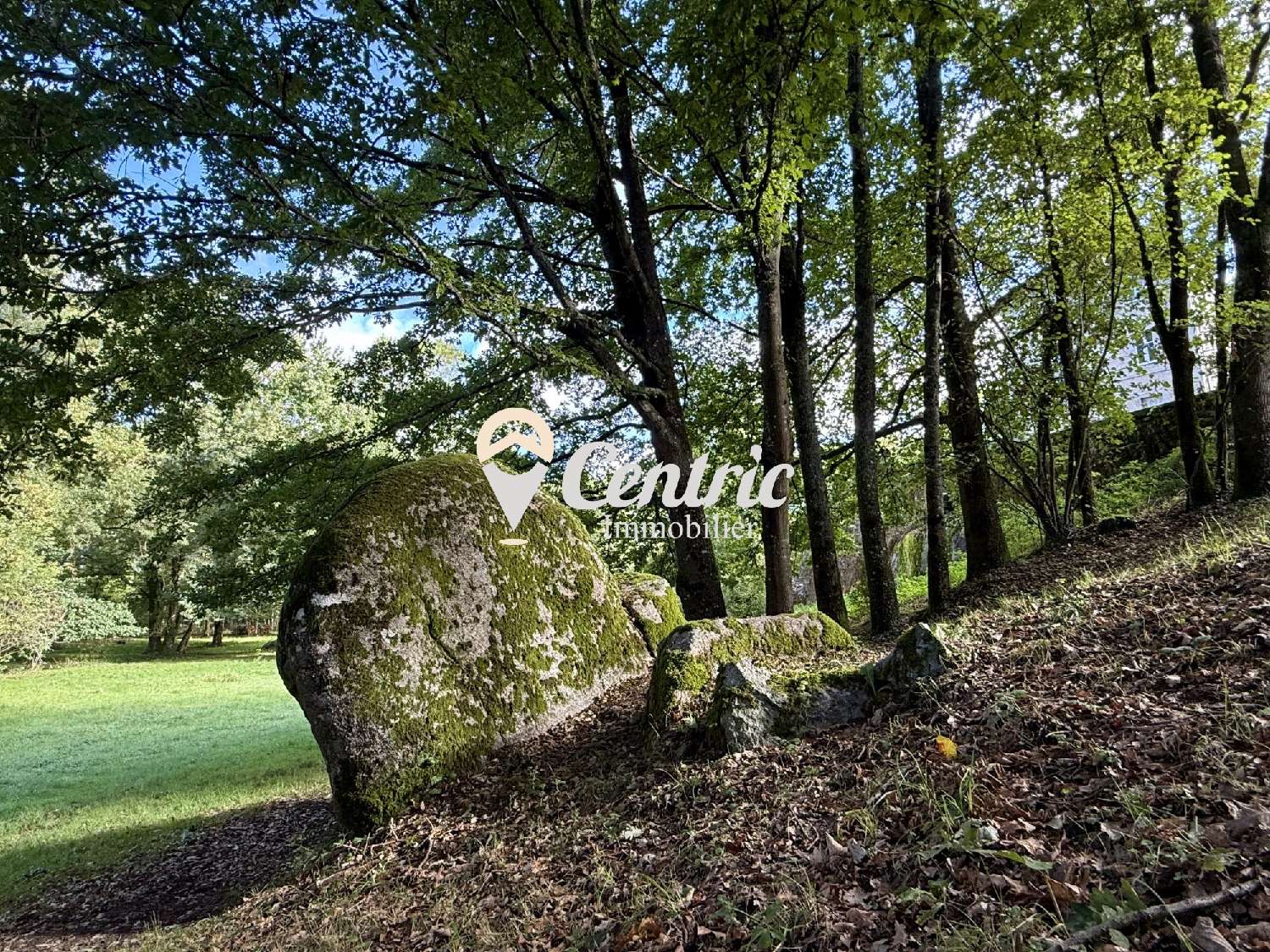  for sale house Fénery Deux-Sèvres 4