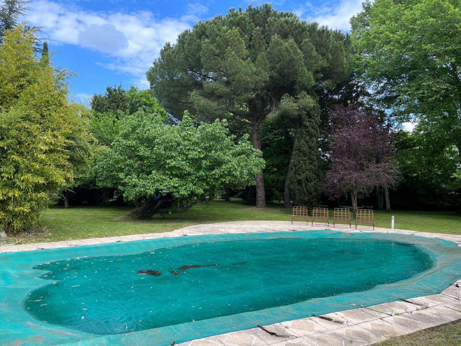  kaufen Haus Flourens Haute-Garonne 2