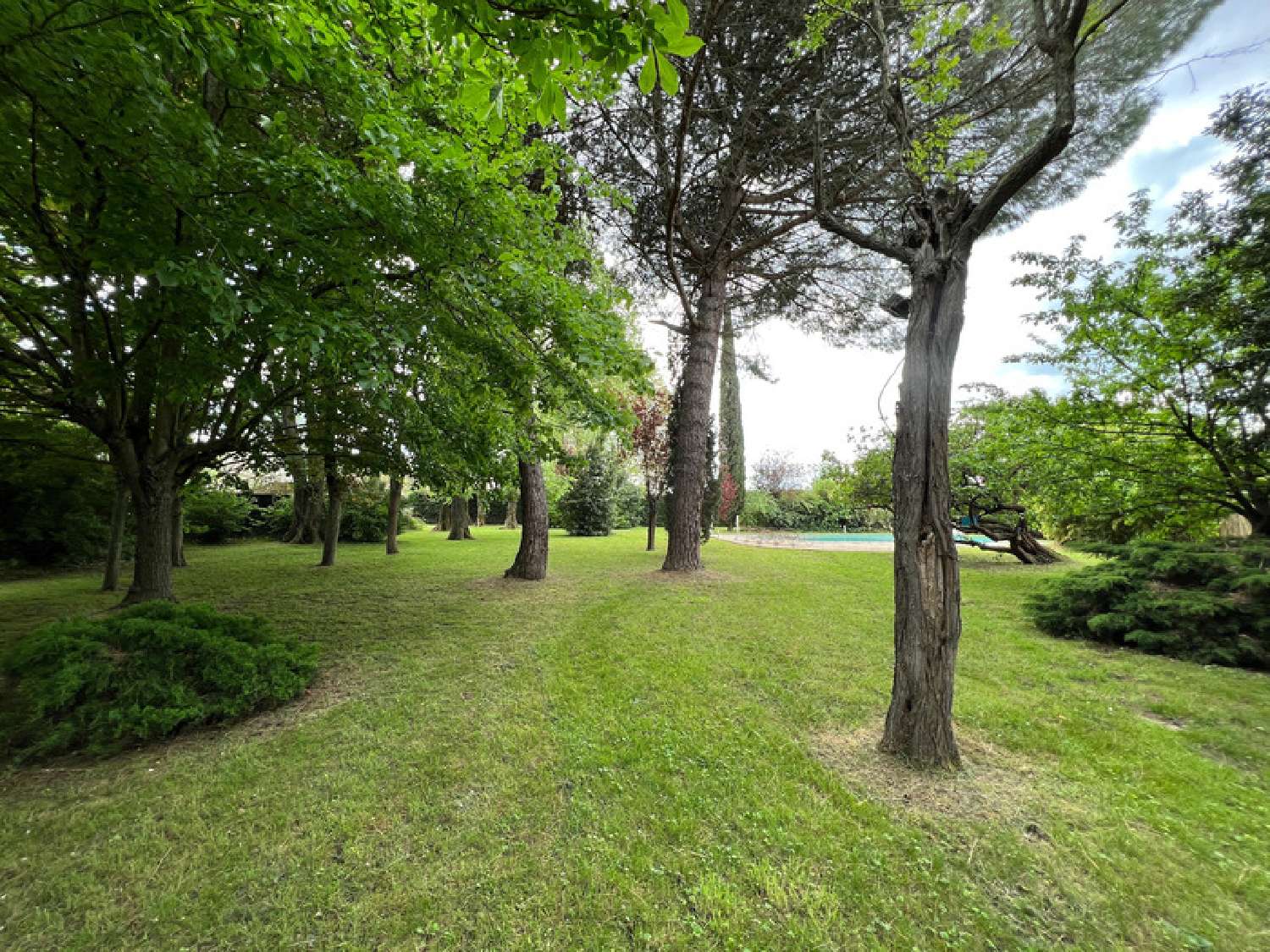  kaufen Haus Flourens Haute-Garonne 3