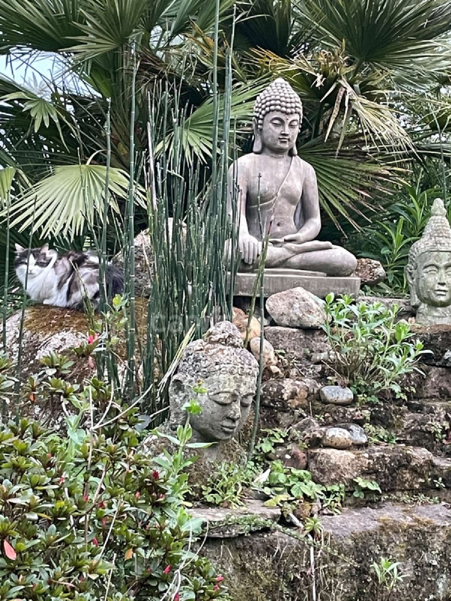  kaufen Haus Fouesnant Finistère 7