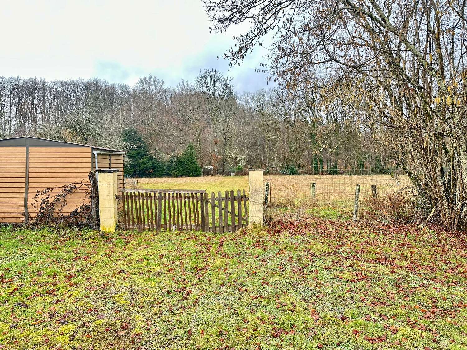  for sale house Froideconche Haute-Saône 3