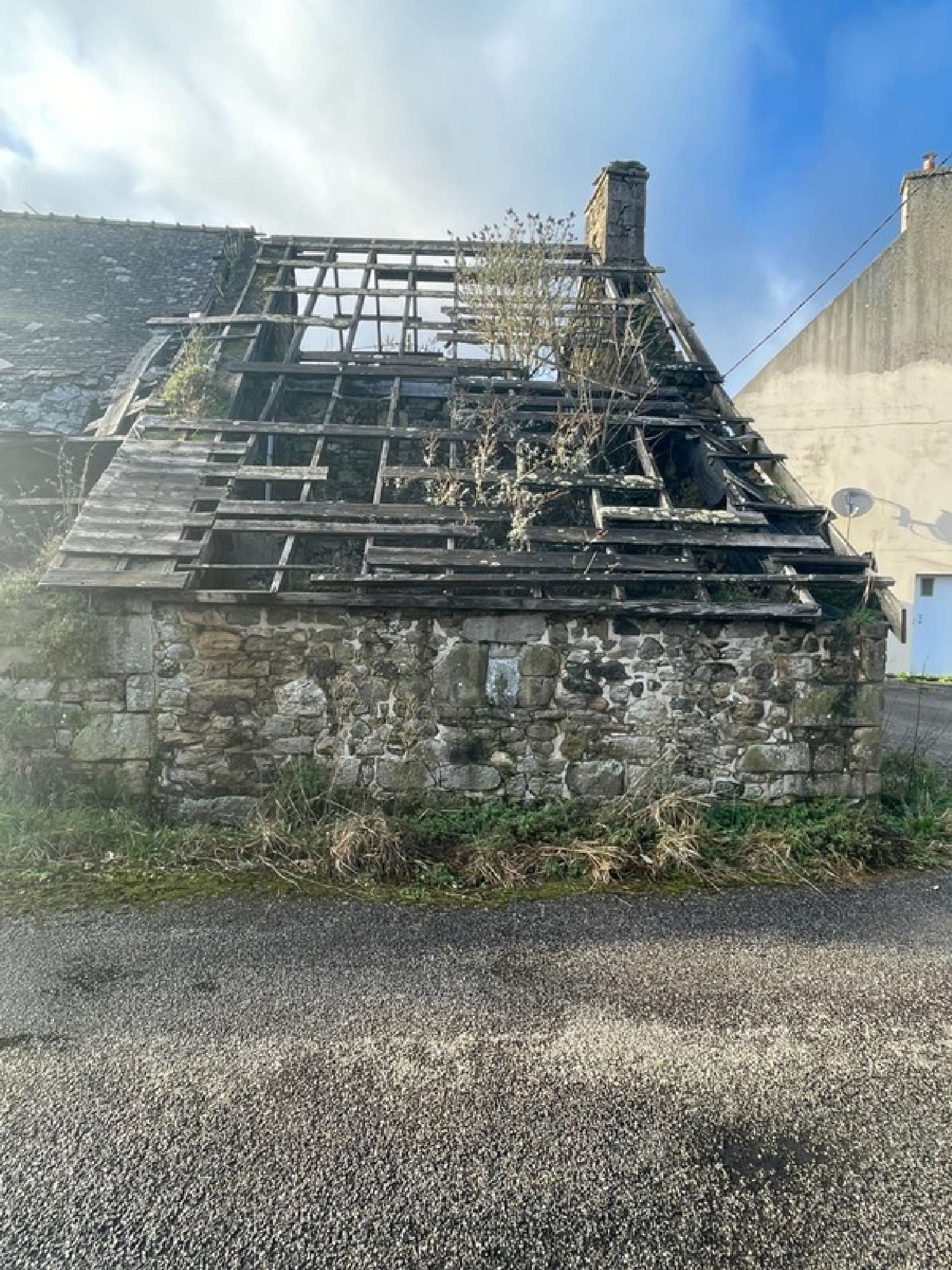  te koop huis Glomel Côtes-d'Armor 5