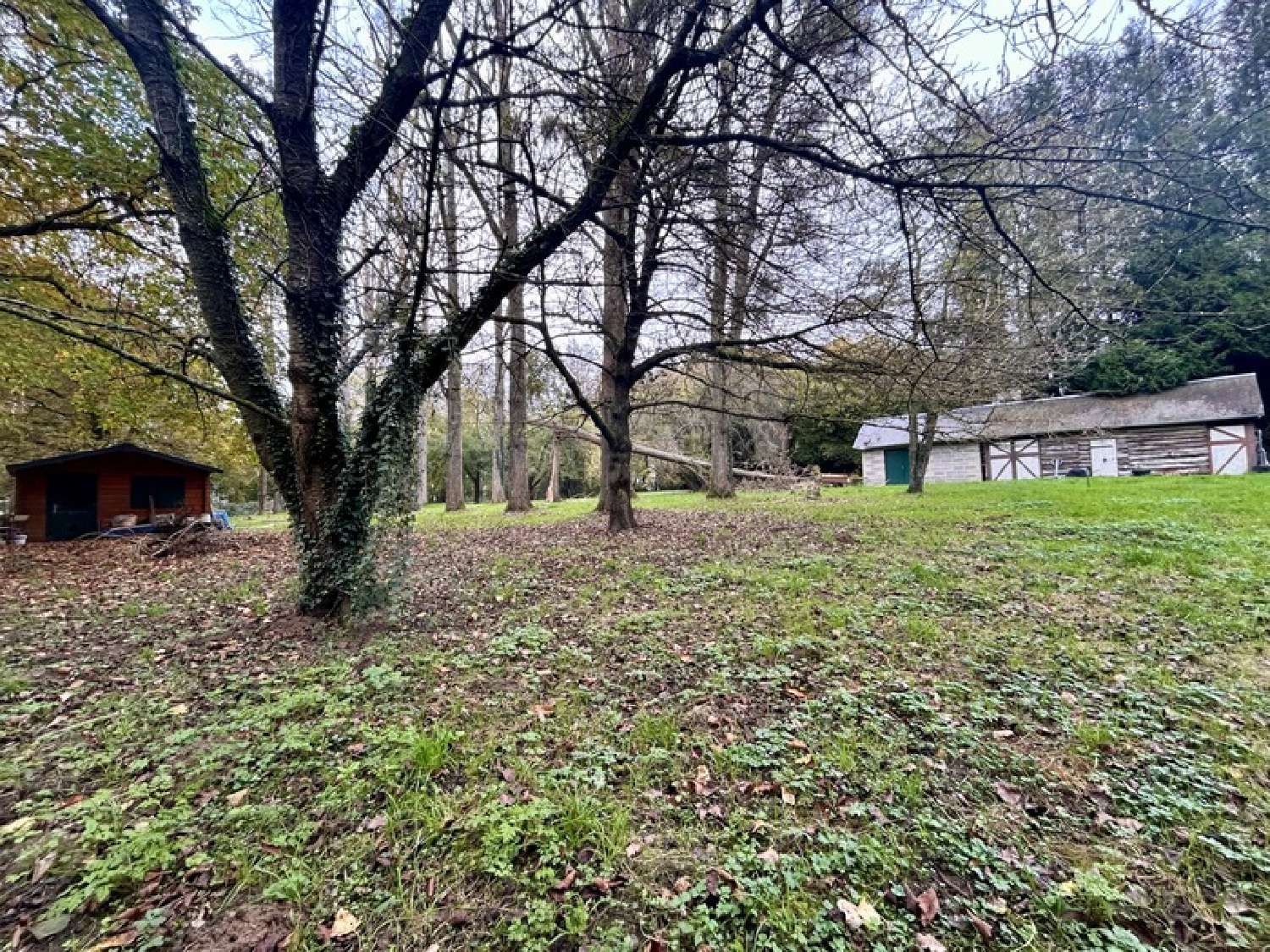  te koop huis Gournay-en-Bray Seine-Maritime 4