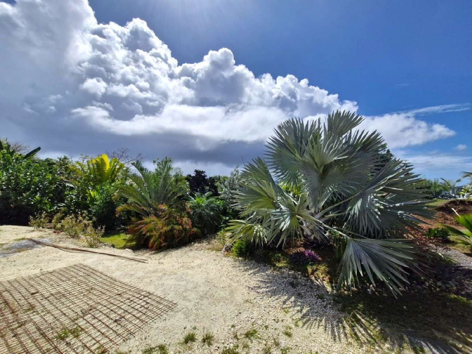 te koop huis Grand-Bourg Guadeloupe 6