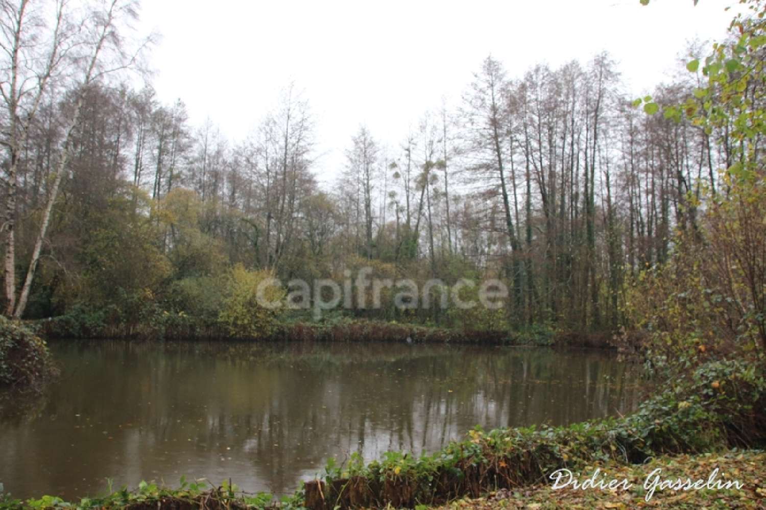  à vendre maison Gréez-sur-Roc Sarthe 3