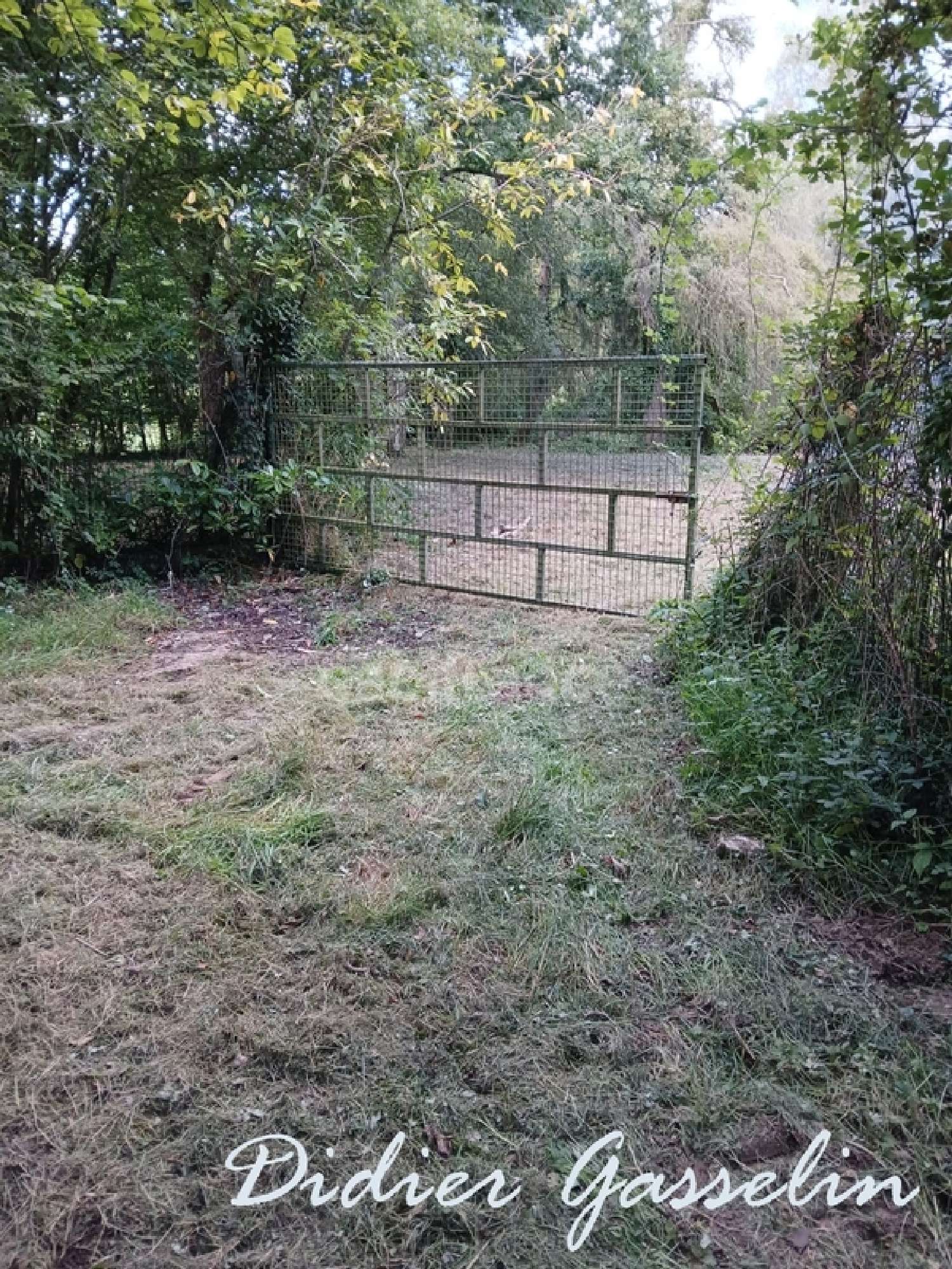  à vendre maison Gréez-sur-Roc Sarthe 5