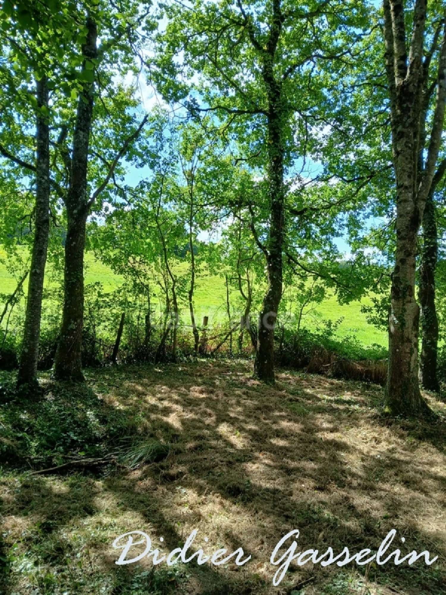  à vendre maison Gréez-sur-Roc Sarthe 7