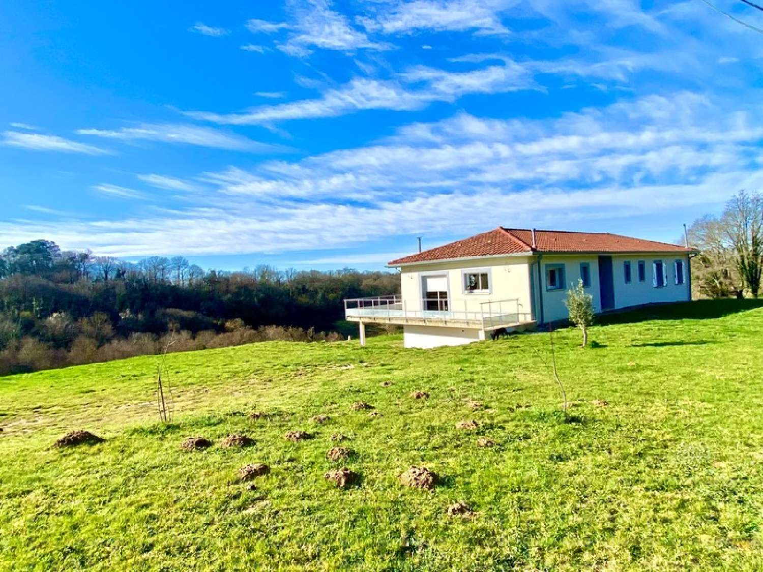  for sale house Grenade-sur-l'Adour Landes 3