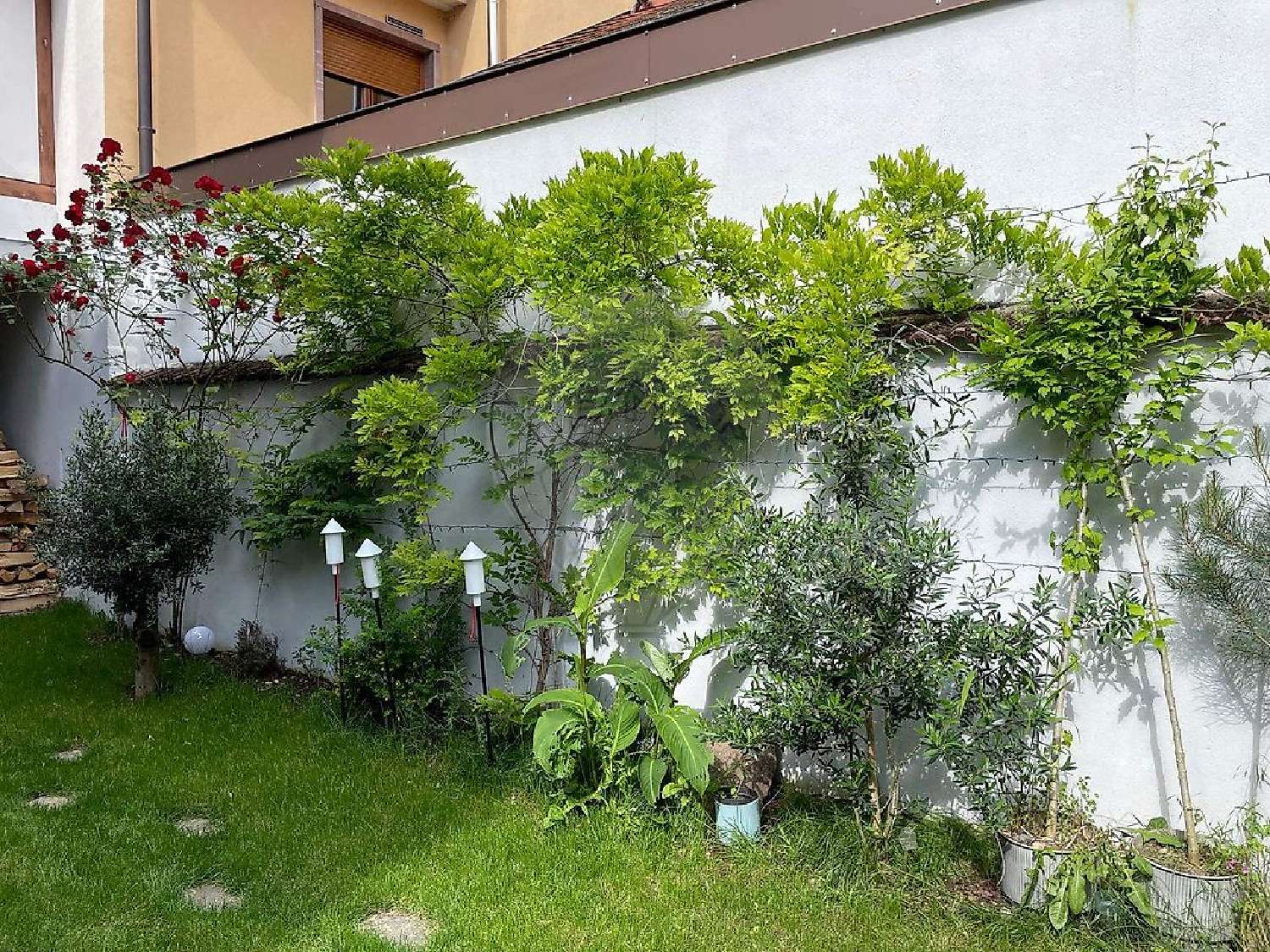 te koop huis Gueberschwihr Haut-Rhin 3