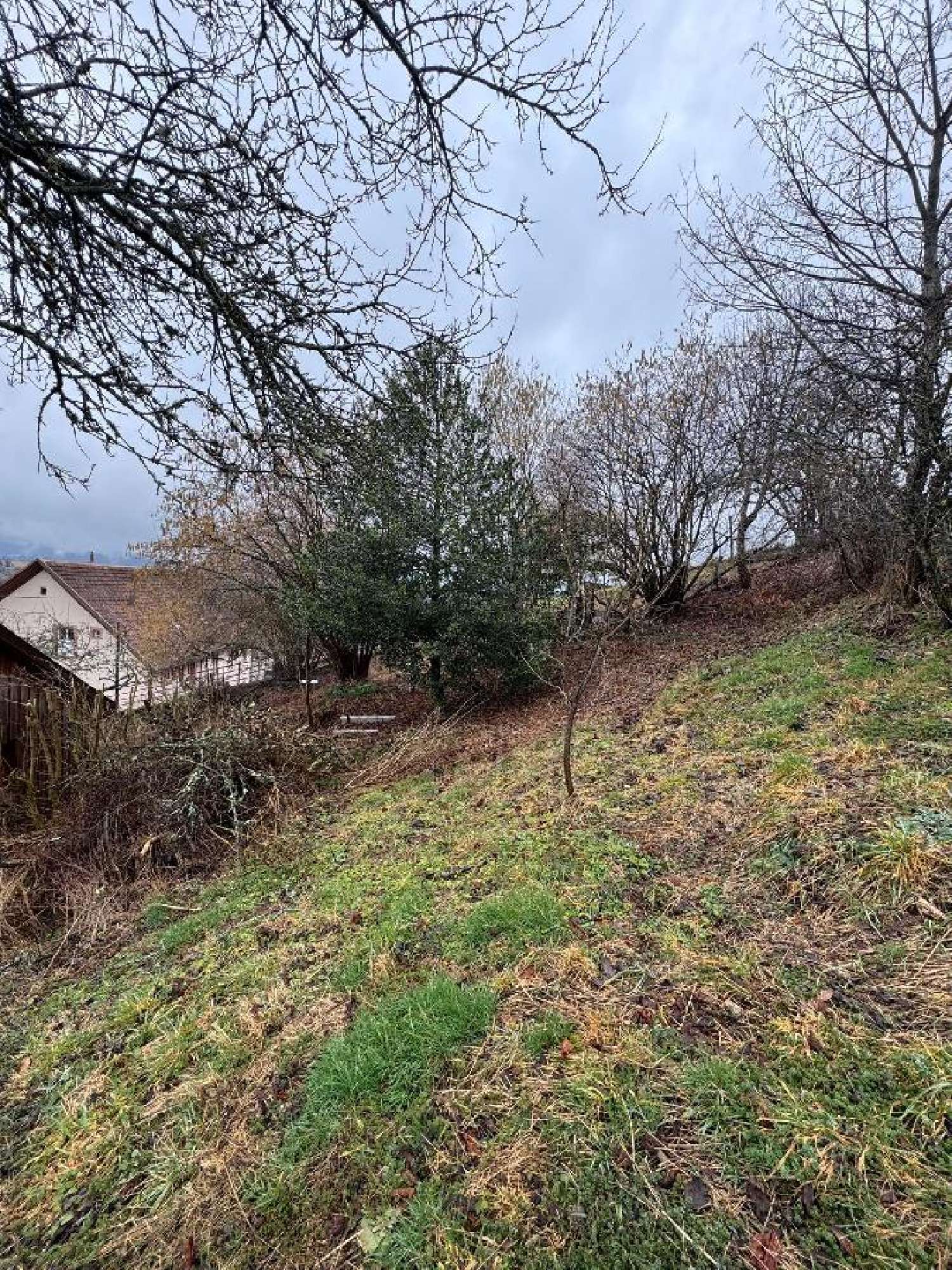  te koop huis Belmont Bas-Rhin 2