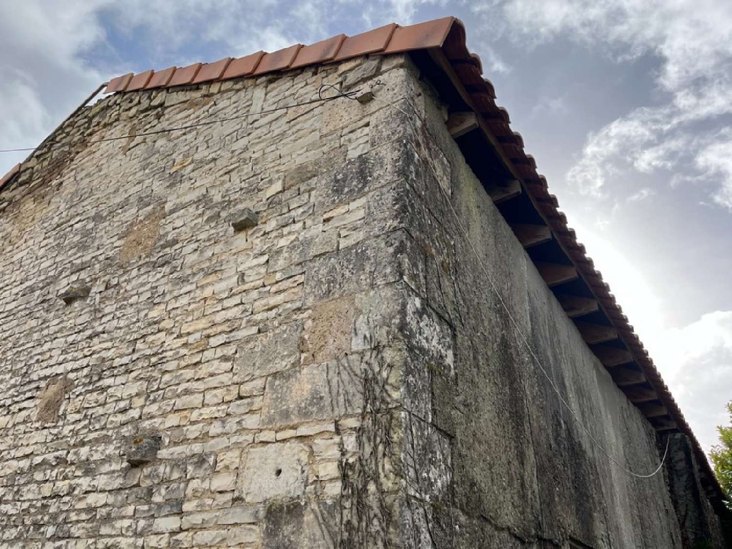  te koop huis Jauldes Charente 4